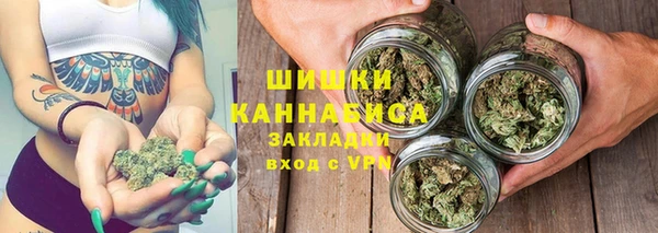 метадон Вяземский